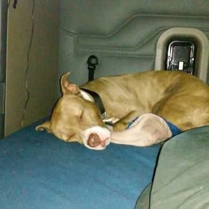 Meet your Posher, Chris